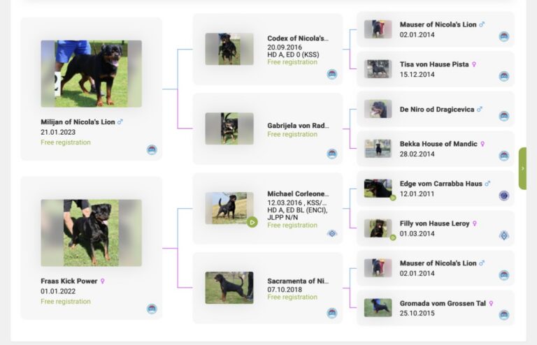 Eden of Nicola's Pedigree