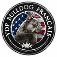 vdp french bull dog logo transparent